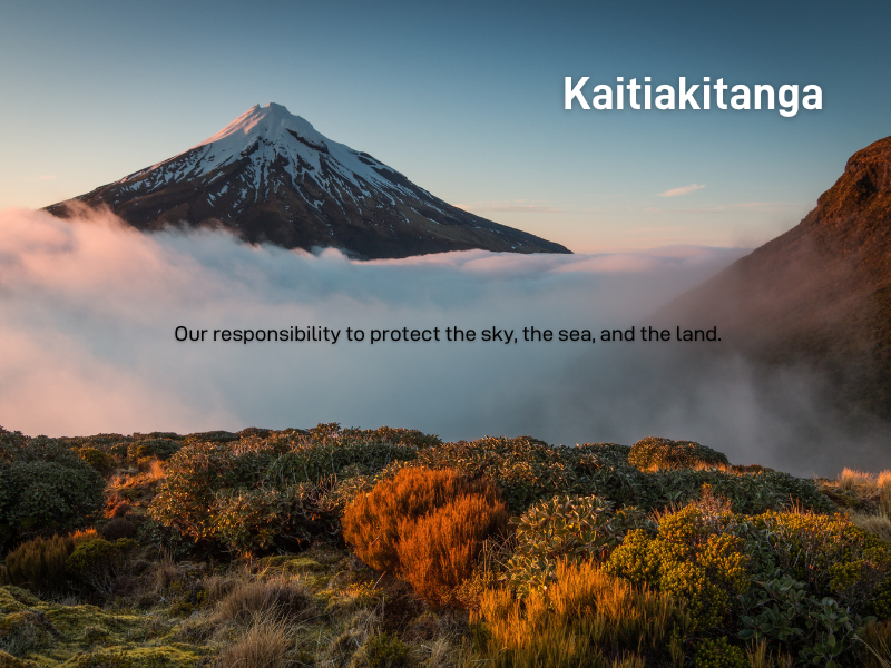 NZ Sustainability_kaitiakitanga